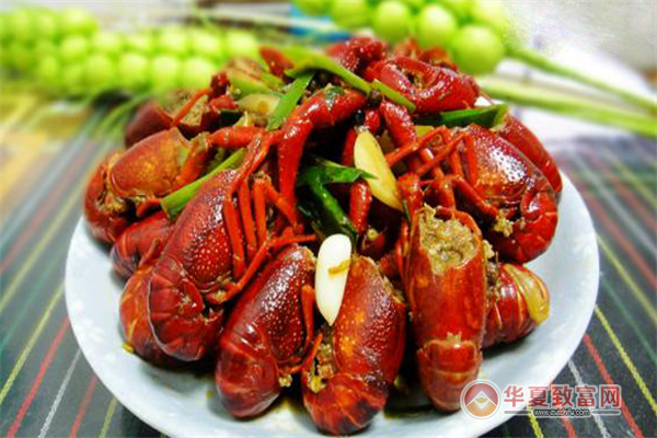 阿蛋龍蝦 技術推廣引領行業新潮，輕松賺錢生意火